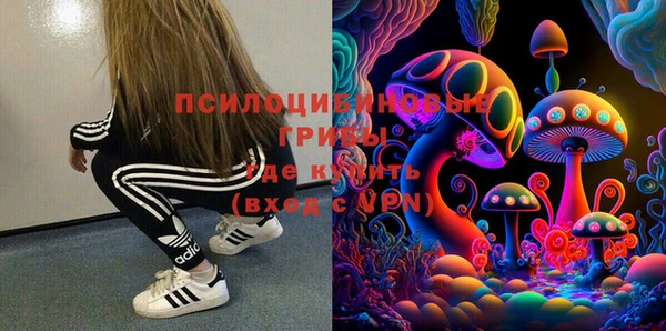 бошки Нея