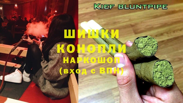 PSILOCYBIN Нефтекумск