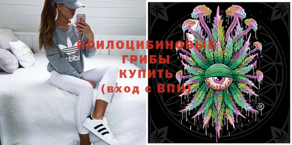 ПСИЛОЦИБИНОВЫЕ ГРИБЫ Нефтегорск