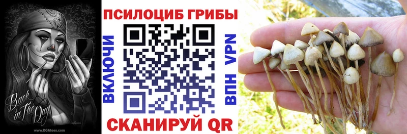 MEGA зеркало  закладки  Кологрив  Псилоцибиновые грибы MAGIC MUSHROOMS 